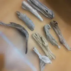 Item thumbnail for item 1c073179-ee30-4ac6-91ac-a8c1eccd36c3