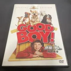 Item thumbnail for item c9f531da-8d2d-42fe-931b-62f166efb024