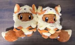 ポケモンセンター沖縄限定ウィンディポンチョのイーブイ ぬいぐるみ2体セット