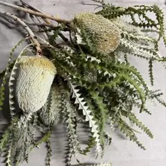 けぃちゃん様 リクエスト 2点 まとめ商品