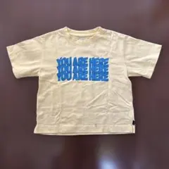 ARCH&LINE Tシャツ YOU ARE HERE イエローのサムネイル