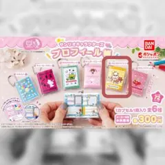 サンリオキャラクターズ プロフィール帳 コロコロクリリン