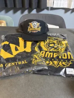 2025年セ・リーグ優勝記念3点セット