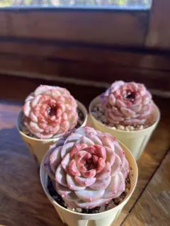 むぅ様 リクエスト 3点 まとめ商品