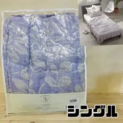 Item thumbnail for item 784fa499-f978-42b9-8518-2147863b0e41