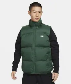 Item thumbnail for item 40a7efa5-c960-4917-92a9-58df9ceba367