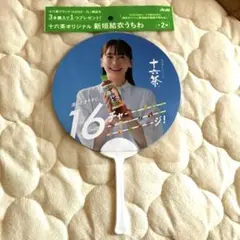 Item thumbnail for item b7232de5-cc95-4102-885b-e91be40c59ed