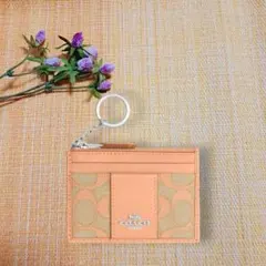 COACH コーチ ミニ スキニー ID ケース・シグネチャー ジャカード