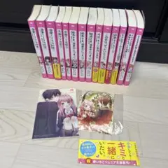 野いちごジュニア文庫 14冊セット