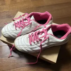 Item thumbnail for item 6da64663-8467-4c44-968c-8e0d5351029f