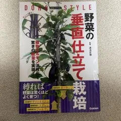 野菜の垂直仕立て栽培