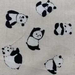 Item thumbnail for item e0c378b7-e3df-4c4d-977b-d1ce23dec0ba