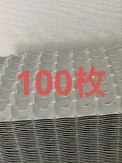 玉子トレー紙モールド昆虫マット100枚のサムネイル
