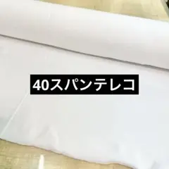 40スパンテレコ 白 90cm巾×1m リブニット ホワイト