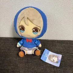 匿名追跡 アオイ ポケモンsv トレーナーズ マスコット ぬいぐるみ タグ