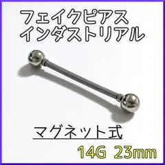 Item thumbnail for item 23fba165-ff36-4c2f-b425-3b4929dfc542