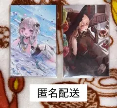 ノスタルジアコレクション2025 ニュイ 葉山セット