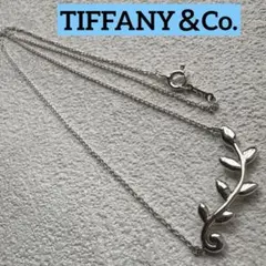 TIFFANY ティファニーネックレス オリーブリーフ ヴァイン SV925のサムネイル