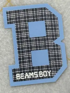 【希少】BEAMS BOY ビームスボーイ ビームス ステッカー チェック柄のサムネイル
