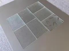 Item thumbnail for item 95cb5537-6788-4d41-863e-41d67a107945