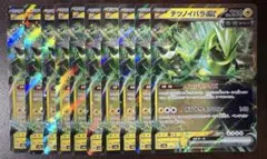 テツノイバラex 10枚