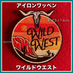 アイロンワッペン◇WILDWEST◇テキサス◇カウスカル◇剥製◇夕焼け◇サボテン