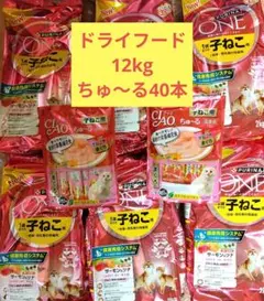 シニア猫用フード詰合せ kalkan PURINAONE いなばちゅーるごはん等