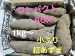 長野県産 さつまいも(小ぶり）BOX