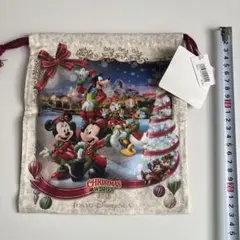 【新品未使用】東京ディズニーシー クリスマスウィッシュ 巾着袋