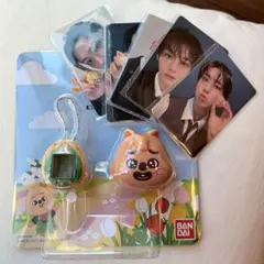 【新品未開封】 SKZOO たまごっち ハン クォッカ 特典トレカ８枚付