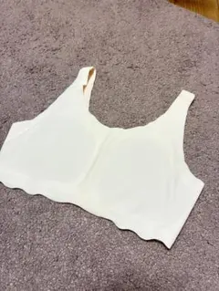 Item thumbnail for item 558d8925-af88-4e88-88a7-12991cf7f49d