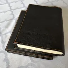 Item thumbnail for item 4d2263d1-e68f-41c2-b173-f0647dc61d38