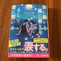 海に願いを 風に祈りを そして君に誓いを