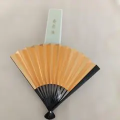 Item thumbnail for item f69281ff-9ee5-4296-9221-f8f7f67ebf15