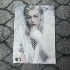 フィリックス スキズ straykids giant フライヤー