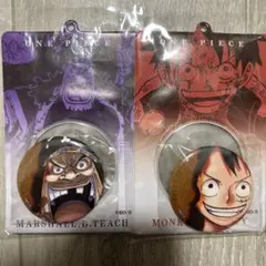 ワンピース 缶バッジ＆特製ホルダー ルフィー、ティーチ