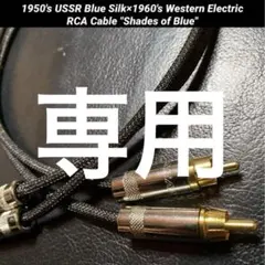 Item thumbnail for item 66e57470-c5b8-4065-9bbe-1f3af60d215d