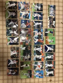 カルビー プロ野球チップス カードセット2009年34枚