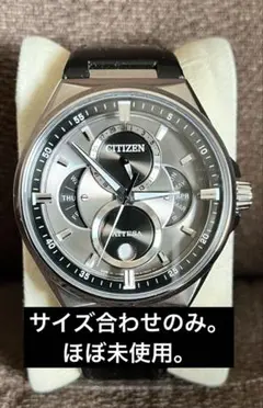 CITIZEN ATTESA アテッサ エコ・ドライブ トリプルカレンダー