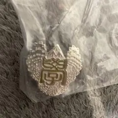 ハイキュー　高校モチーフピンバッジ　梟谷高校