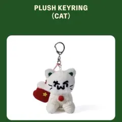 TWS♥️HOLIDAY WITH US PLUSH KEYRING CAT - メルカリ