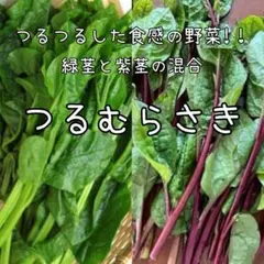 直子様 リクエスト 3点 まとめ商品