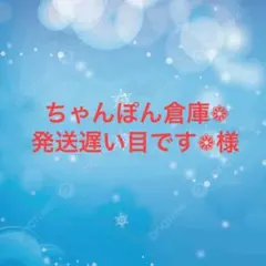 ちゃんぽん倉庫❁発送遅い目です❁様専用