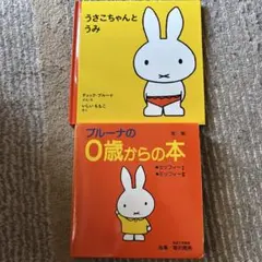 ブルーナの0歳からの本　 うさこちゃんとうみ