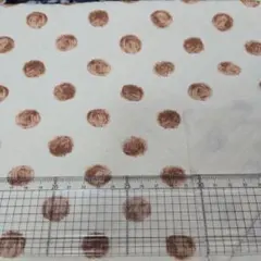 Item thumbnail for item abdb8269-8b54-4ca2-926e-cfbaaab0bee7