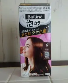 Blauné 泡カラー 6 ダークブラウンのサムネイル