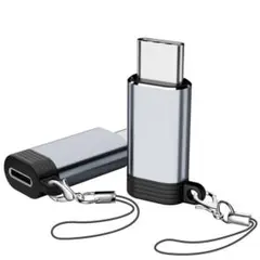 usb-c 変換アダプタ 2個セット (イヤホン対応不可) (グレー)