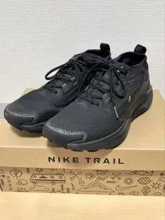 (26.5cm)ナイキ ペガサス トレイル 5 GORE-TEX メンズ