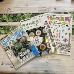 Item thumbnail for item 3122036a-d040-4ab8-983b-afd2331e22b8