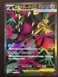 メガクチートex SR